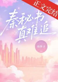 秦秘书真难追笔趣阁