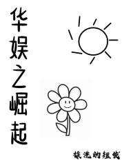 华娱之崛起1995txt