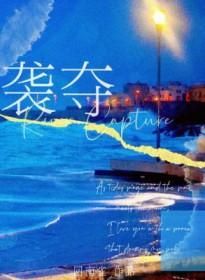 袭夺讲什么