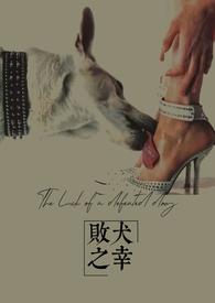 败犬笫九卷
