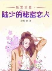 独宠旧爱陆少的秘密恋人百度百科