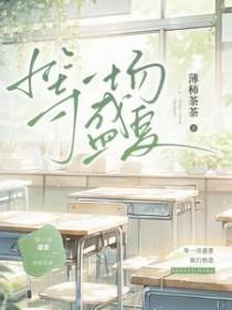 等一场盛夏全文免费