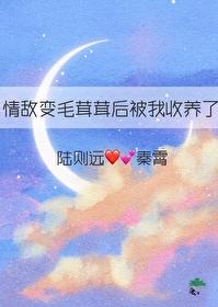 变成情敌之后