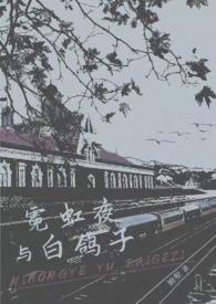 白夜霓虹多少钱