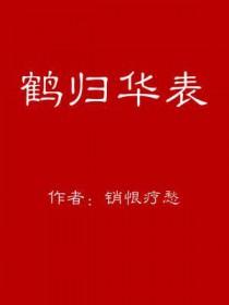 鹤归华表韶华如驶