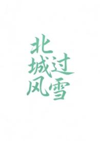 北城有雪无弹窗