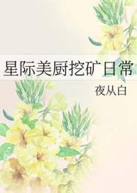 星际美食日常全文免费阅读