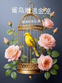 雀鸟与金笼排雷