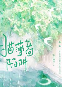 猫薄荷陷阱最新番外