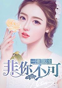 一夜沉婚全部目录