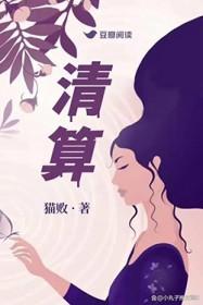 清算方案模板