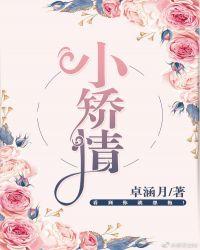 小矫情晋江在线阅读全文