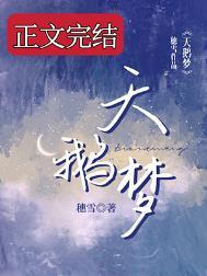 天鹅梦拉格精酿啤酒怎么样