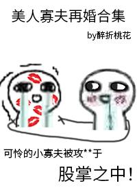 美人寡夫再婚合集(醉折桃花) 全文阅读