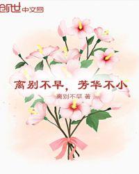 芳华不在下一句是什么