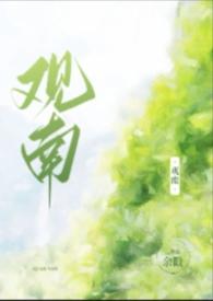 观南