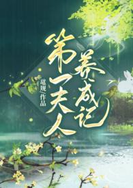 第一夫人txt全文