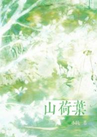 山荷叶视频