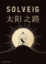 太阳之光什么意思