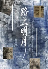 路上明月民国全集