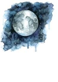 水星掉入太阳会怎样