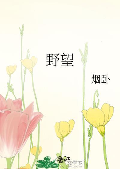 野望翻译