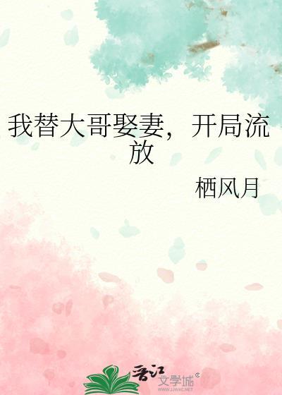 我替我哥娶了个老婆