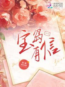 宝岛是上市公司吗
