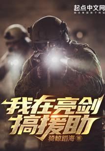 我在亮剑搞援助TXT免费