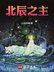 北辰之主免费阅读