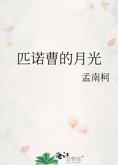 匹诺曹的书