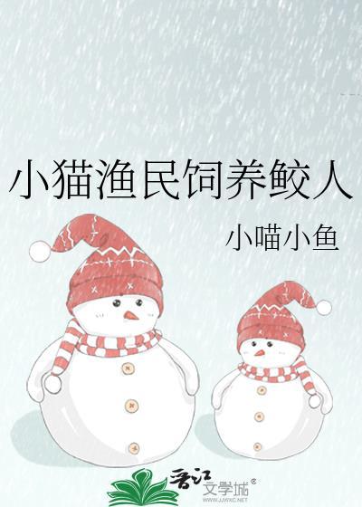 投屏材料
