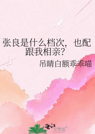 张良是哪里