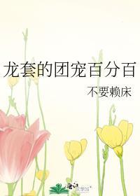 团宠龙仔