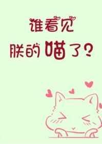 谁看见朕的喵了初云之初