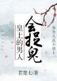古代皇上有男宠吗