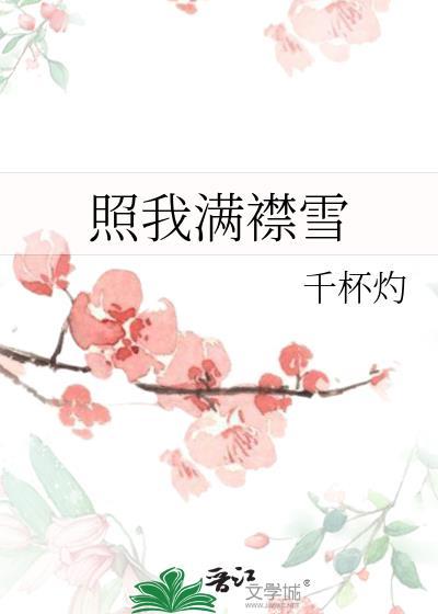 照我满襟雪百度