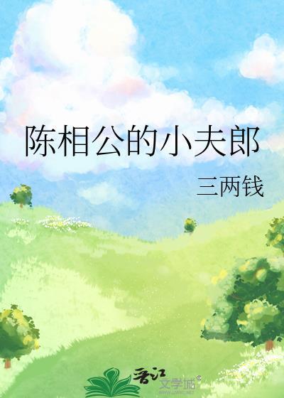 陈相公的小夫郎番外