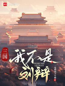 三国我刘辩让大汉再次伟大