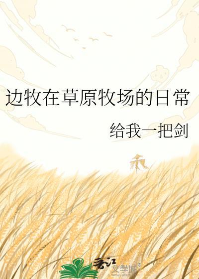 边牧表演
