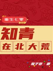 重生七零知青在北大荒全集完整版
