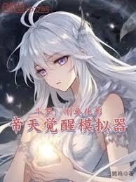 帝天觉醒模拟器 作者獭呜