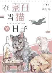 在豪门当学霸