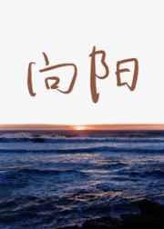 向阳正义