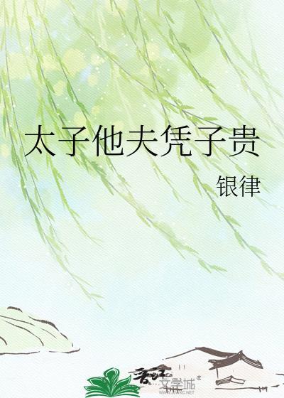 太子他夫凭子贵完整版