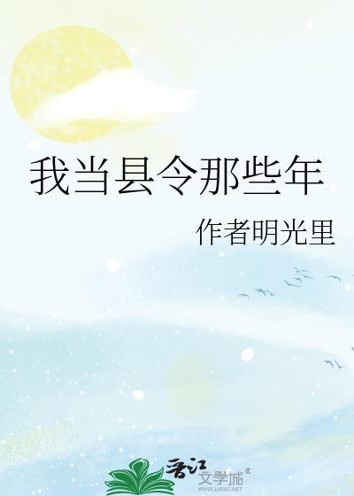 我当县令那些年是什么