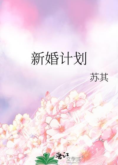 新婚计划全文免费阅读