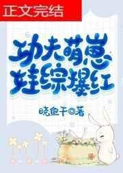 功夫萌宠