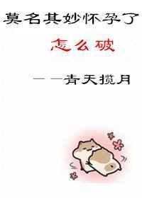 莫名其妙怀孕了怎么破 青天揽月