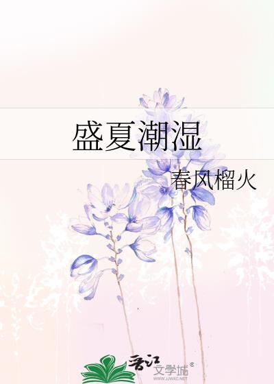 盛夏潮湿全文阅读